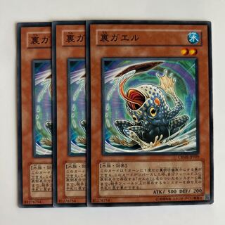 10024 裏ガエル ノーマル JP029