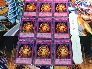 Widespread Ruin DT05 1 Duel Terminal, set of 9, Tera.