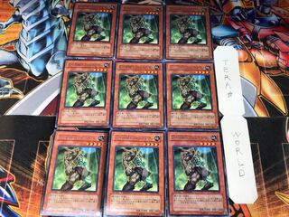 E・HERO フォレストマン DT08 1 デュエルターミナル 9枚セット てら