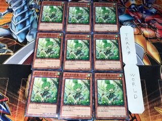 Kamui, Hope of Gusto DTC1 1 Dueling Terminals, set of 9 Tera.