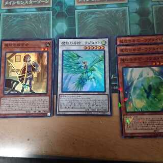 アダマシア ラプタイト