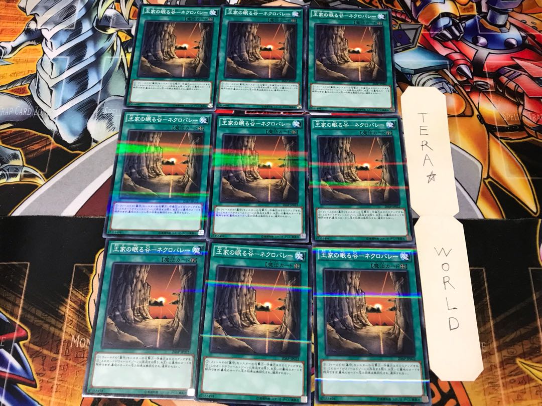 Valley of Sleep of Kings - Necro Valley 20AP 1 Normal Parallel Set of 9 Tera.