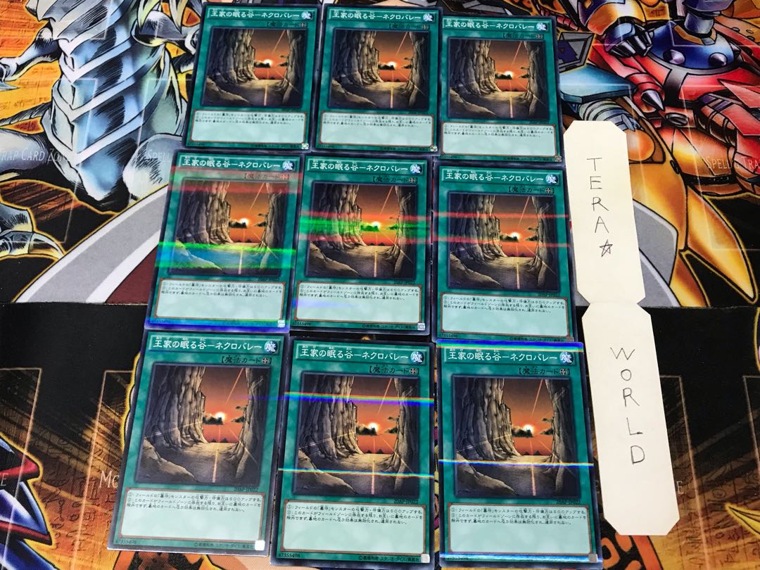 Valley of Sleep of Kings - Necro Valley 20AP 2 Normal Parallel Set of 9 Tera.