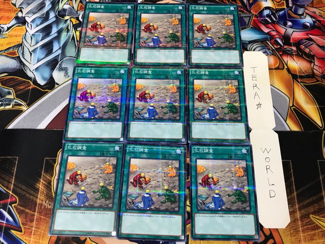 Fossil Dig SR04 1 Normal Parallel Set of 9 Tera