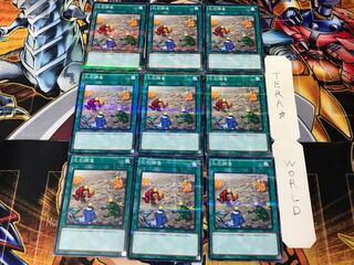 Fossil Dig SR04 1 Normal Parallel Set of 9 Tera