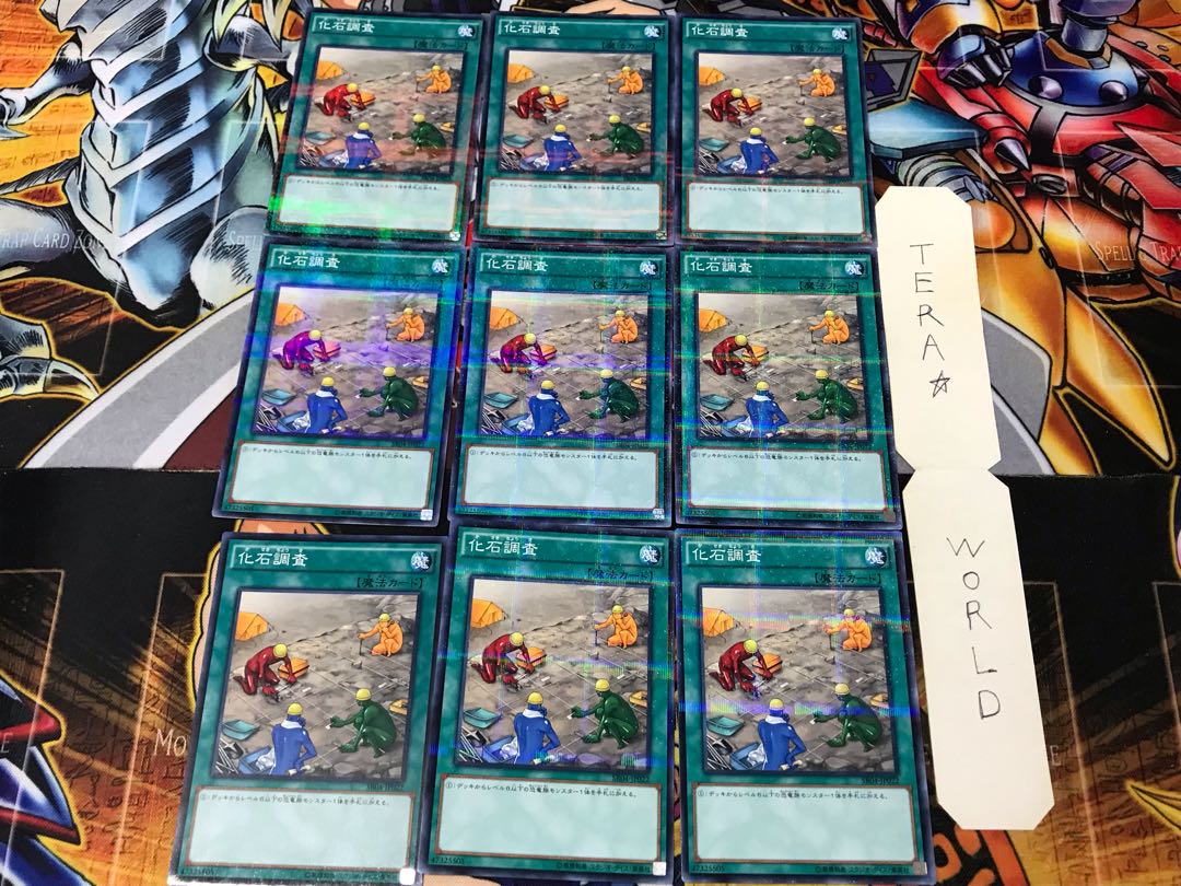 Fossil Dig SR04 2 Normal Parallel Set of 9 Tera