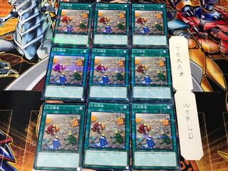 化石調査 SR04 2 ノーマルパラレル 9枚セット てら