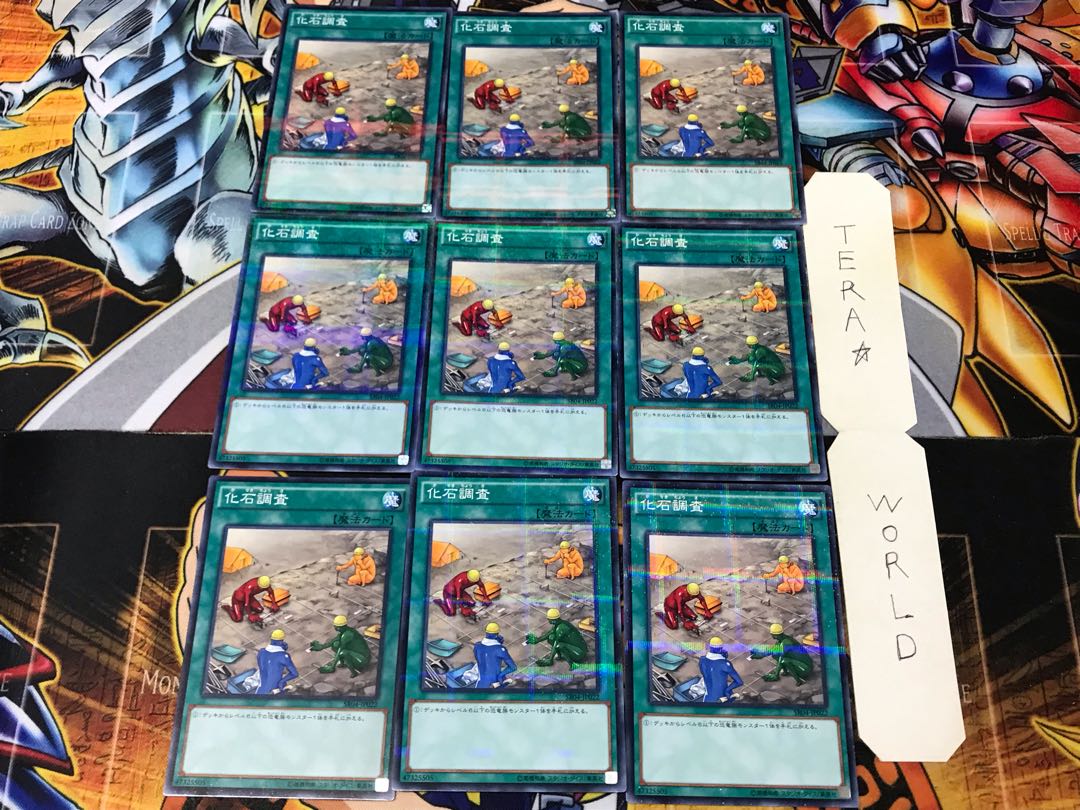 Fossil Dig SR04 3 Normal Parallel Set of 9 Tera