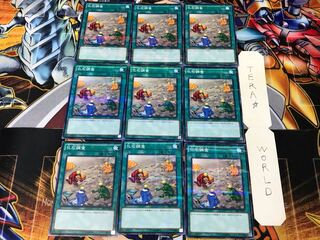 Fossil Dig SR04 3 Normal Parallel Set of 9 Tera