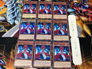 D/D Lamia SD30 1 Normal Parallel Set of 9 Tera