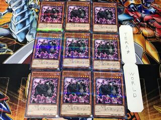 ROM Cloudia SD32 1 Normal Parallel Set of 9 cards Tera