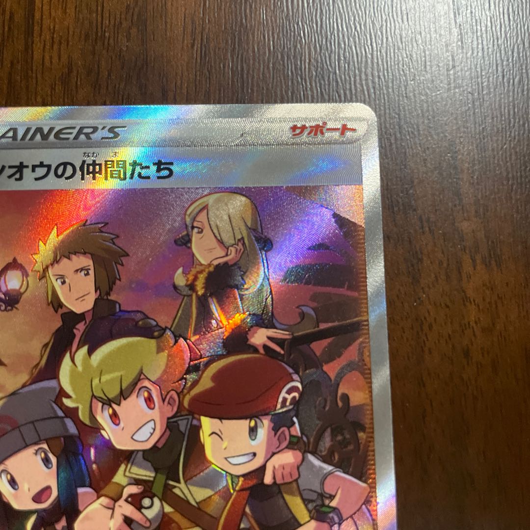 Shin-Oh's friends SR 247/172