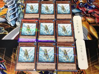 Treeborn Frog 20AP 3 Normal Parallel Set of 9 Tera.