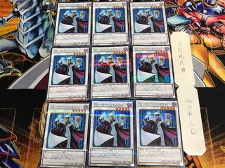 T.G. Hyper Librarian 20AP 2 Normal Parallel Set of 9 Tera.