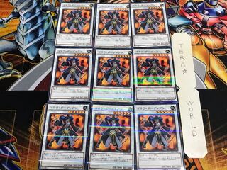 Goyo Guardian 20AP 2 Normal Parallel Set of 9 Tera