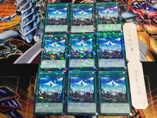 RR-ネスト SPWR 2 ノーマルパラレル 9枚セット てら