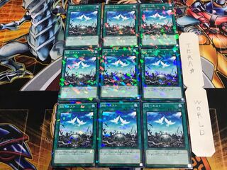 RR-ネスト SPWR 3 ノーマルパラレル 9枚セット てら