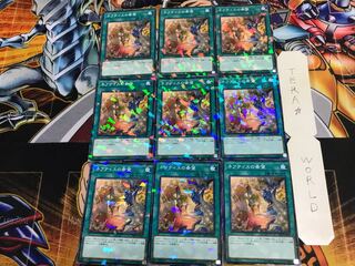 ネフティスの希望 DBHS 1 ノーマルパラレル 9枚セット てら