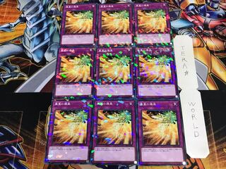 Phoenix Wing Wind Blast DBHS 1 Normal Parallel 9-card set Tera