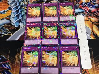 Phoenix Wing Wind Blast DBHS 2 Normal Parallel 9-card set Tera