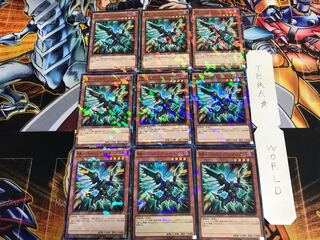 RR-Vanishing Rainiers SPWR 1 Normal Parallel Set of 9 Tera.