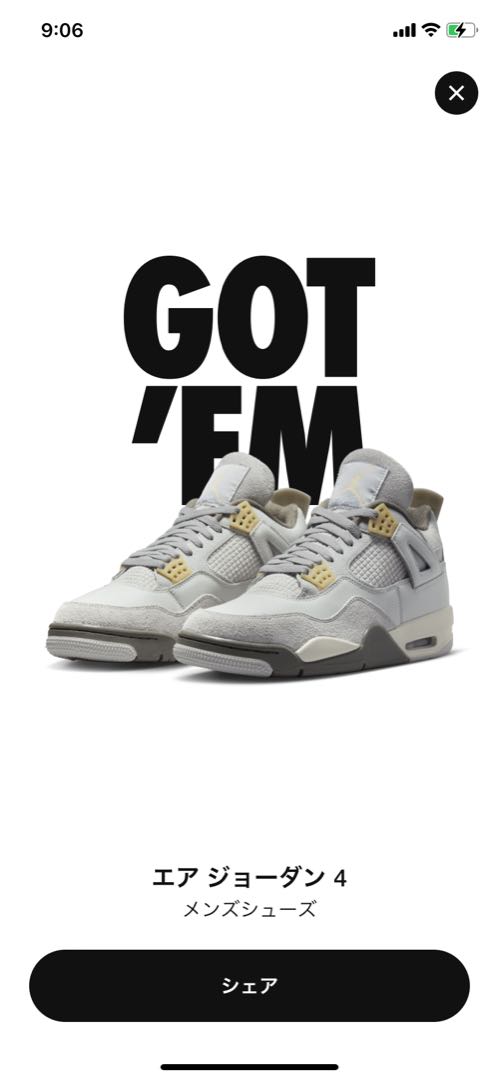 エアジョーダン4 レトロ SE クラフト 30cm