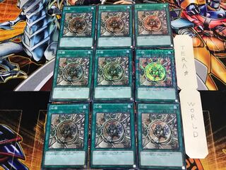 収縮 MP01 1 ミレニアム 9枚セット てら