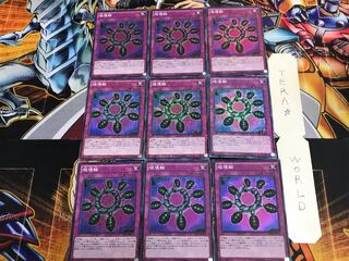 破壊輪 MP01 1 ミレニアム 9枚セット てら