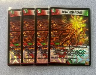 Fighting Conflict and Growth Decision VR 8/76