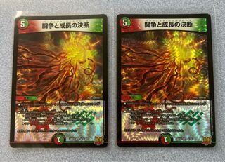 Fighting Conflict and Growth Decision VR 8/76