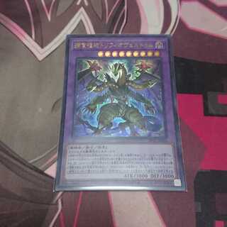 捕食植物トリフィオヴェルトゥム ウルトラレア