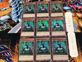 Electromagnetic Turtle MP01 2 Millennium Set of 9 Tera