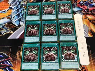 洗脳-ブレインコントロール GDB1 2 ゴールド 9枚セット てら