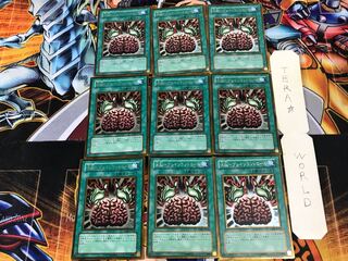 洗脳-ブレインコントロール GS02 1 ゴールド 9枚セット てら