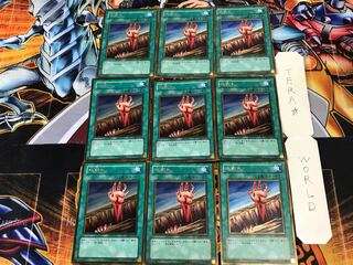 Fissure GS02 1 Gold Set of 9 Tera