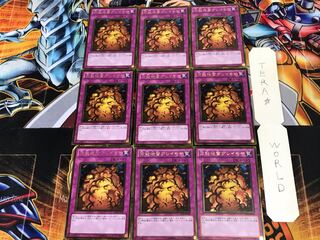 万能地雷グレイモヤ GS03 2 ゴールド 9枚セット てら