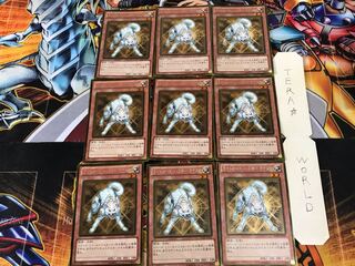 Ryko, Lightsworn Hunter GDB1 1 gold, set of 9 tera