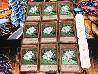 Nimble Momonga GS05 1 gold, set of 9 tera