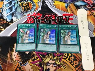 Forbidden Lance STOR 3 Super Set of 3 Tera