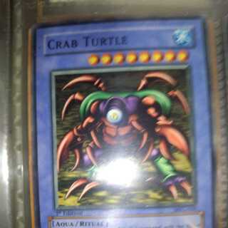Krabby Turtle [outside Umi].