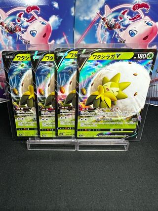 ワタシラガV RR 016/190