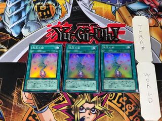 宝玉の樹 DP07 2 スーパー 3枚セット てら