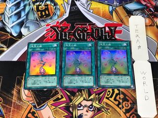 宝玉の樹 DP07 4 スーパー 3枚セット てら