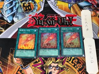 鳳凰神の羽根 FET 1 スーパー 3枚セット てら