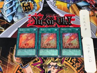 鳳凰神の羽根 FET 2 スーパー 3枚セット てら