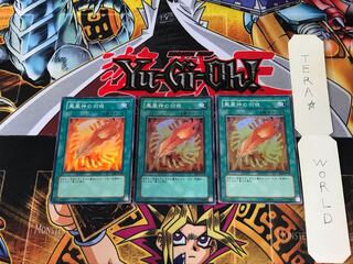 鳳凰神の羽根 EE3 2 スーパー 3枚セット てら