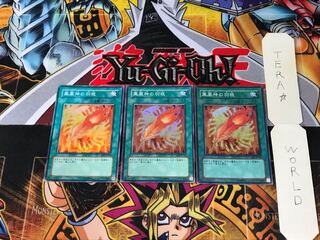 鳳凰神の羽根 EE3 3 スーパー 3枚セット てら