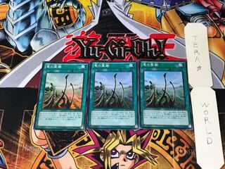 Dragon Shrine SD25 1 Super Set of 3 Tera