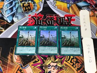 Dragon Shrine SD25 3 Super Set of 3 Tera