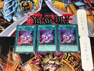 貪欲な壺 EEN 5 スーパー 3枚セット てら